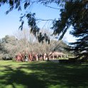 SIargentina2007 022