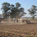 SIargentina2007 053
